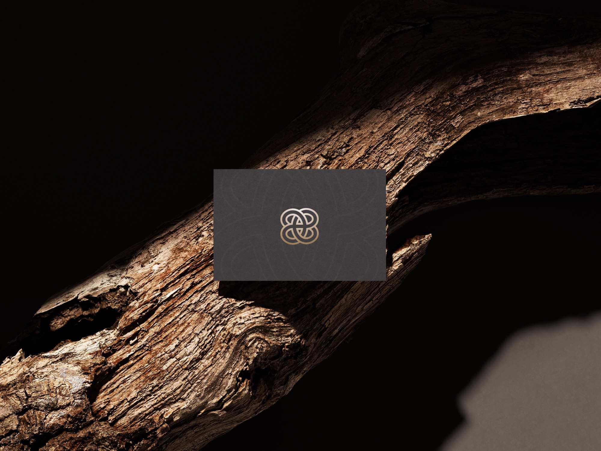 Ancient Ether — the logo
